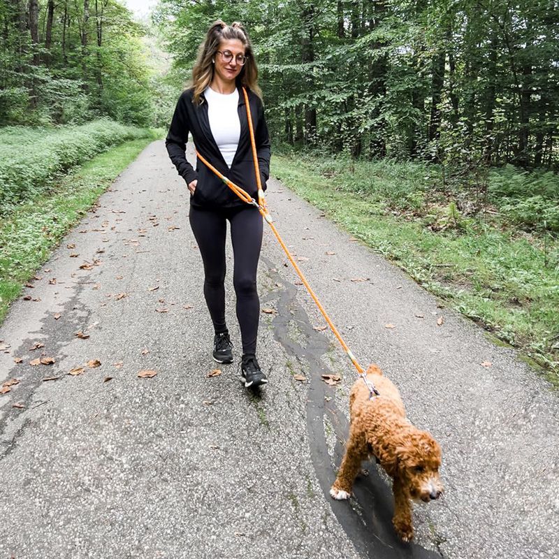 Running Gear Belt - ハイキング、ウォーキング、ランニング用の反射型ハンズフリー犬用リード - 小型犬と大型犬用の調節可能なウエスト＆クロスボディリード - 衝撃吸収と快適性のためのバンジーリード